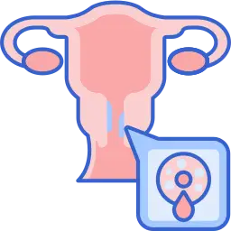  Menstrual Disorders