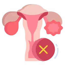 Female Urinary Tract