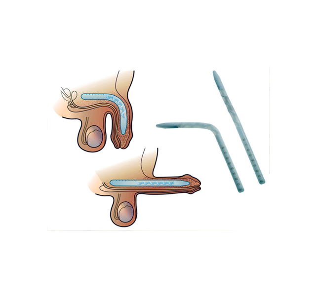 andrology