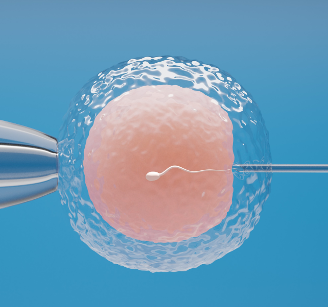 ivf